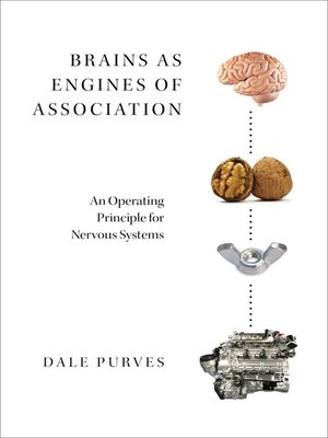 cover image of Brains as Engines of Association